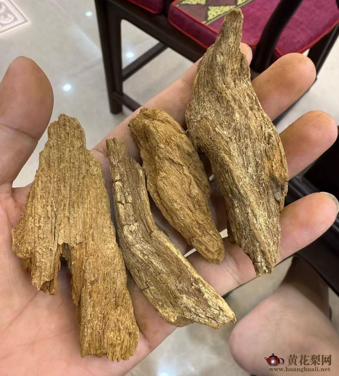 电白沉香：乱象治理与产业升级双轨并行